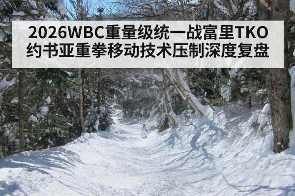 2026WBC重量级统一战富里TKO约书亚重拳移动技术压制深度复盘