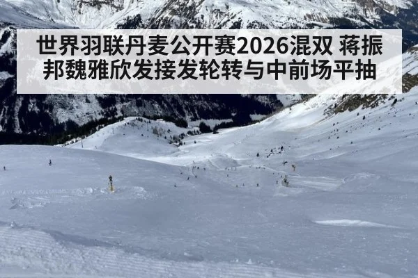 世界羽联丹麦公开赛2026混双 蒋振邦魏雅欣发接发轮转与中前场平抽